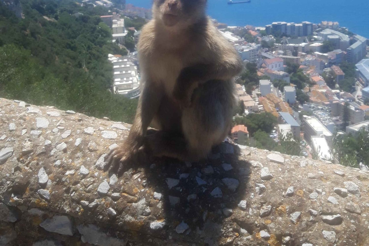 Bezienswaardigheden Gibraltar - Klassieke Rock Tour