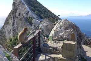 Bezienswaardigheden Gibraltar - Klassieke Rock Tour