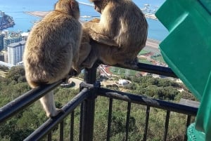 Bezienswaardigheden Gibraltar - Klassieke Rock Tour