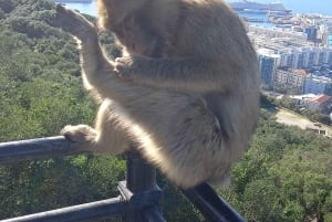 Bezienswaardigheden Gibraltar - Klassieke Rock Tour