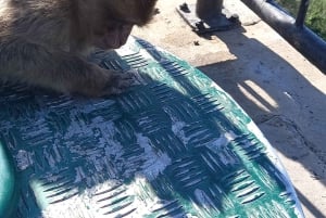 Bezienswaardigheden Gibraltar - Klassieke Rock Tour