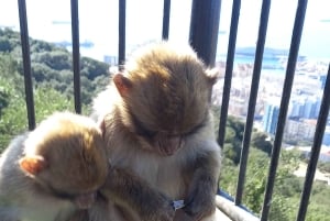 Bezienswaardigheden Gibraltar - Klassieke Rock Tour