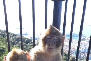 Bezienswaardigheden Gibraltar - Klassieke Rock Tour