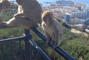 Bezienswaardigheden Gibraltar - Klassieke Rock Tour