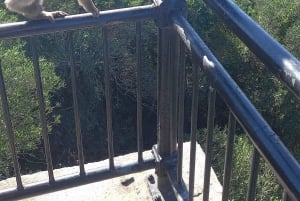 Bezienswaardigheden Gibraltar - Klassieke Rock Tour