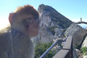 Bezienswaardigheden Gibraltar - Klassieke Rock Tour