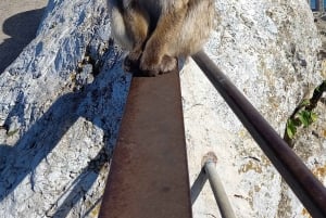 Bezienswaardigheden Gibraltar - Klassieke Rock Tour