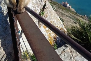 Bezienswaardigheden Gibraltar - Klassieke Rock Tour