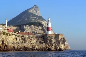 Från Málaga/Torremolinos/Benalmádena: Dagsutflykt till Gibraltar