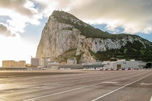 Fra Málaga/Torremolinos/Benalmádena: Dagstur til Gibraltar