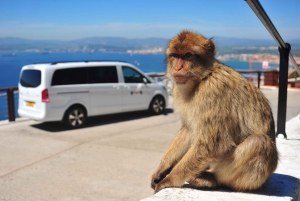 Gibraltar : visite d'une jounée privée ultime