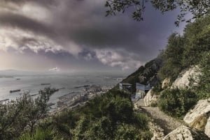 Gibraltar: Bilet wstępu do rezerwatu przyrody Upper Rock