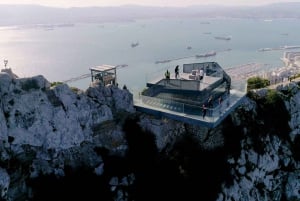 Gibraltar : billet d'entrée pour la réserve naturelle d'Upper Rock