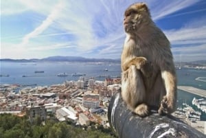 Gibraltar: Tur om anden verdenskrig og fæstninger