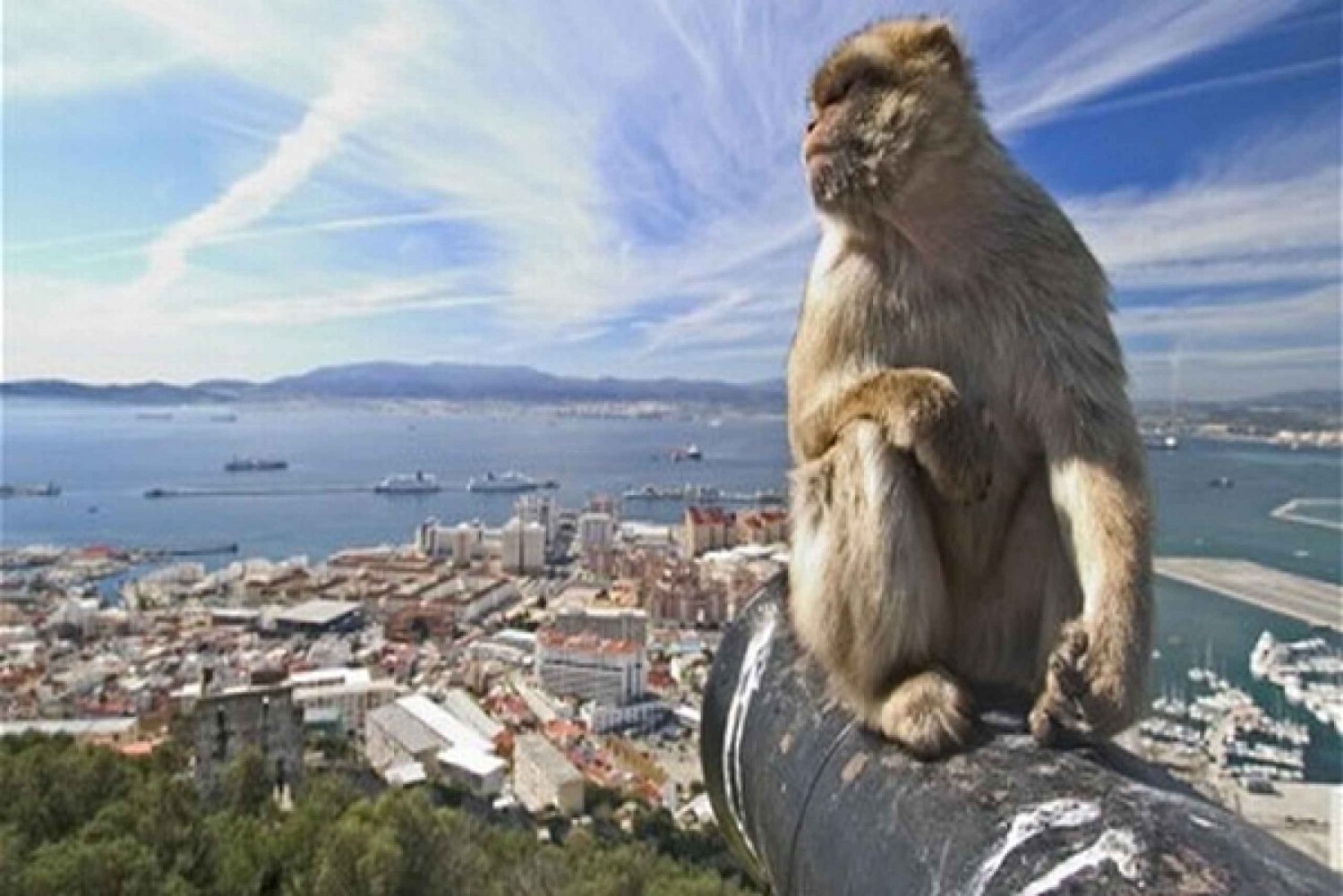 Gibraltar: World War II and Fortress Highlights Tour