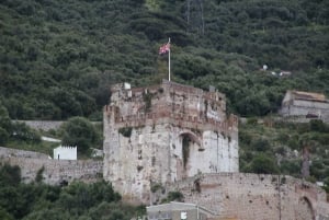 Gibraltar: World War II and Fortress Highlights Tour