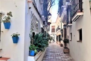 Marbellassa: Marbella: Sightseeing Walking Tour