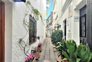 Marbellassa: Marbella: Sightseeing Walking Tour