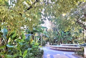 Marbellassa: Marbella: Sightseeing Walking Tour