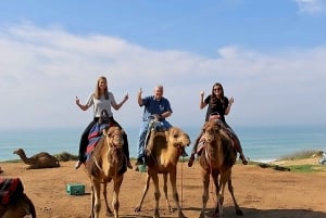 Desde Gibraltar: excursión privada de un día con guía a Tánger