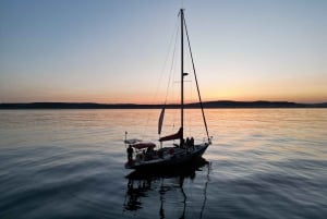 Sotogrande: passeio de barco para observação de golfinhos com bebida