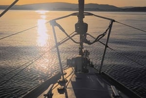 Sotogrande: passeio de barco para observação de golfinhos com bebida