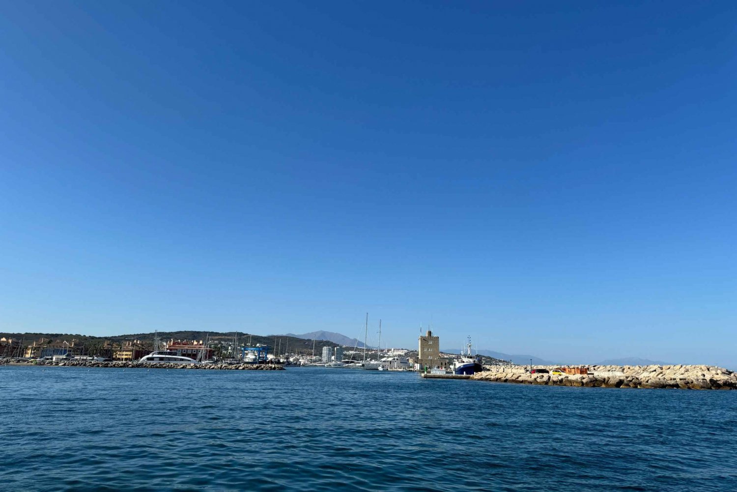 Sotogrande: Sogrande: Delfiinien tarkkailu asiantuntijaryhmän kanssa