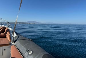 Sotogrande: Sogrande: Delfiinien tarkkailu asiantuntijaryhmän kanssa