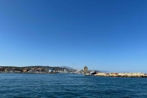 Sotogrande: Sogrande: Delfiinien tarkkailu asiantuntijaryhmän kanssa