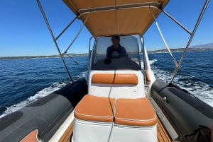 Sotogrande: Sogrande: Delfiinien tarkkailu asiantuntijaryhmän kanssa