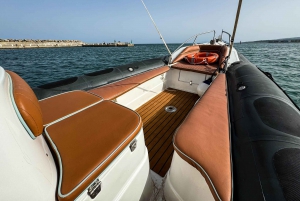 Sotogrande: Sogrande: Delfiinien tarkkailu asiantuntijaryhmän kanssa