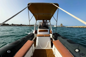 Sotogrande: Sogrande: Delfiinien tarkkailu asiantuntijaryhmän kanssa