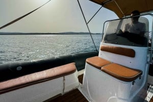 Sotogrande: Sogrande: Delfiinien tarkkailu asiantuntijaryhmän kanssa