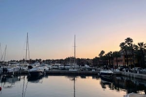 Sotogrande: Sogrande: Delfiinien tarkkailu asiantuntijaryhmän kanssa