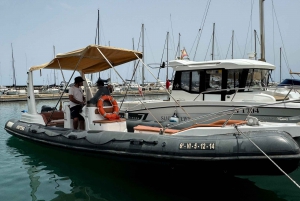 Sotogrande: Sogrande: Delfiinien tarkkailu asiantuntijaryhmän kanssa