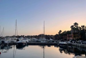 Sotogrande: Sogrande: Delfiinien tarkkailu asiantuntijaryhmän kanssa