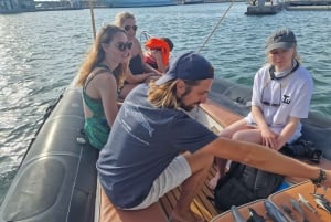 Sotogrande: Sogrande: Delfiinien tarkkailu asiantuntijaryhmän kanssa