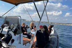 Sotogrande: Sogrande: Delfiinien tarkkailu asiantuntijaryhmän kanssa