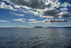 Sotogrande: Sogrande: Delfiinien tarkkailu asiantuntijaryhmän kanssa