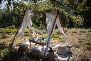 Sotogrande: Styling af udendørs picnic med tapas.