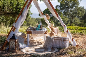 Sotogrande: Styling af udendørs picnic med tapas.