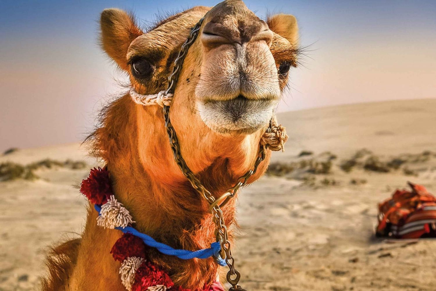 Tarifa: Tanger Tagestour mit Fähre, Mittagessen und Tourguide