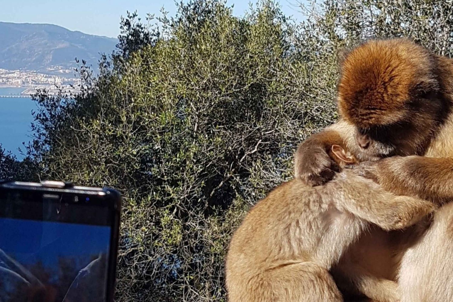 Гибралтар: экскурсия по Коста-дель-Соль