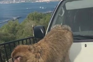 Гибралтар: экскурсия по Коста-дель-Соль