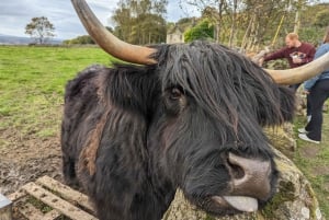 3-dages privat tur til Skye, Glencoe, Inverness og Loch Ness