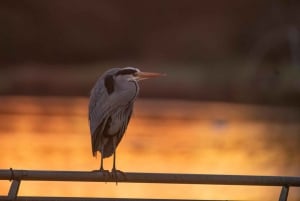 Beginners Wildlife Photography Workshop