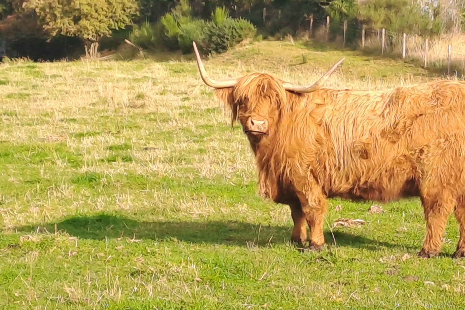 Tagestour durch Schottland Highlights