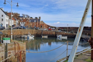 Tagestour durch Schottland Highlights