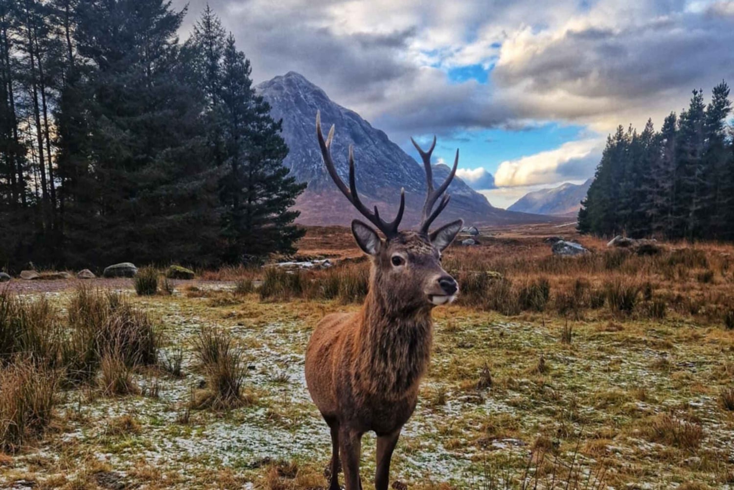 Edinburgh: 3-dagers guidet tur til Isle of Skye og Highlands