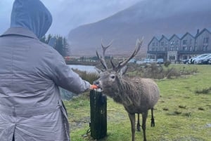 From Edinburgh: 2-Day Ultimate Highland Tour with Hotel